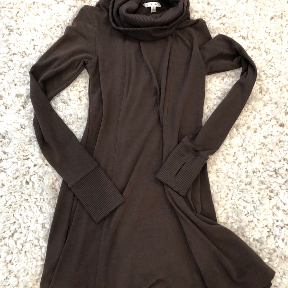Brown Turtle neck dress